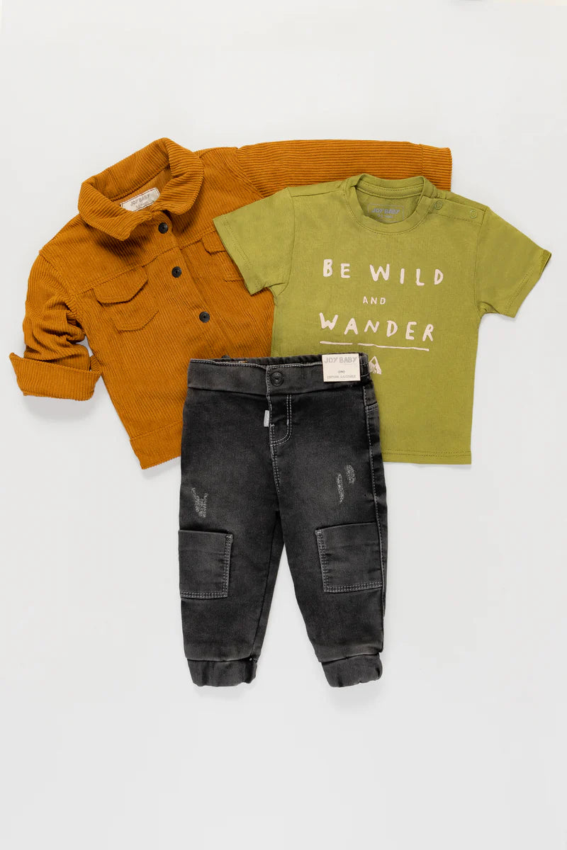Set Safari