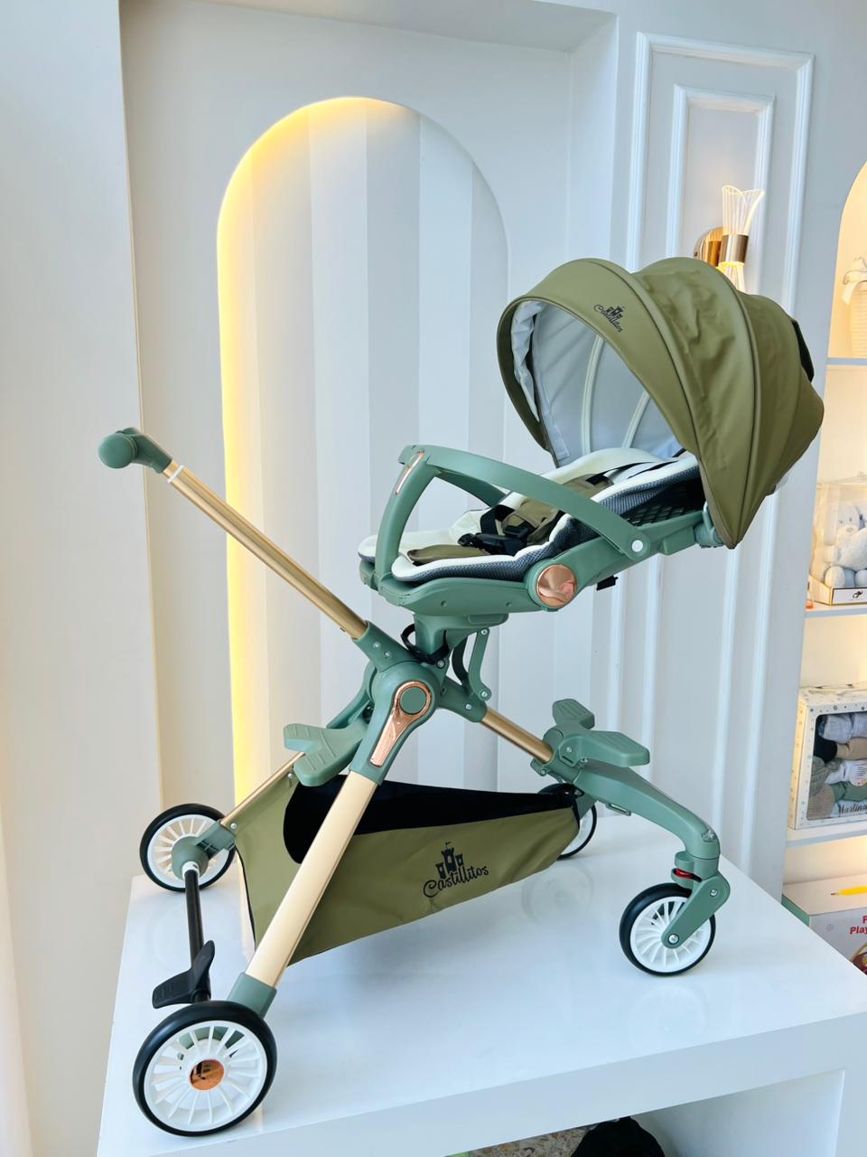 PASEADOR DE LUJO PLEGABLE