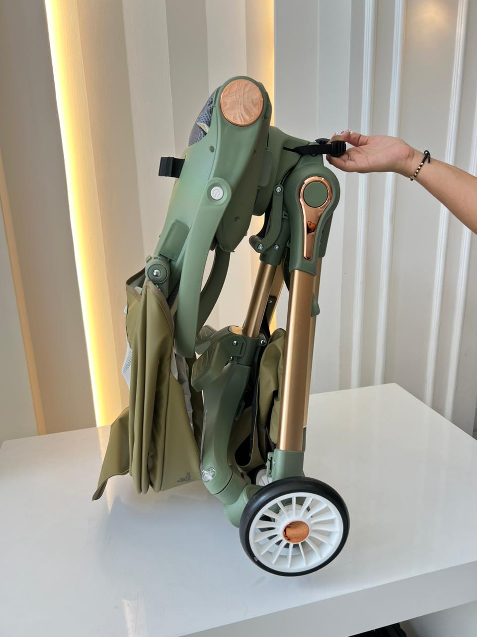 PASEADOR DE LUJO PLEGABLE