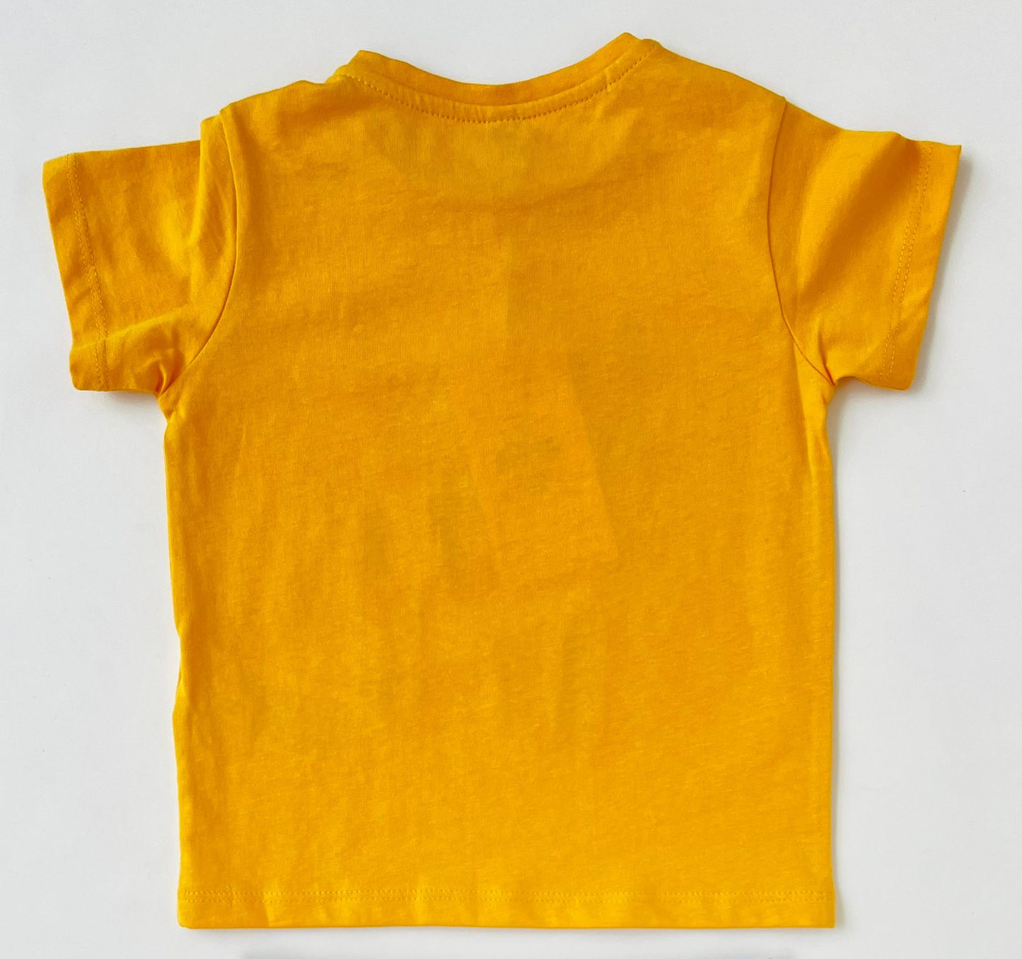CAMISETA EUROPEA “Kind Little Indi” LOSAN