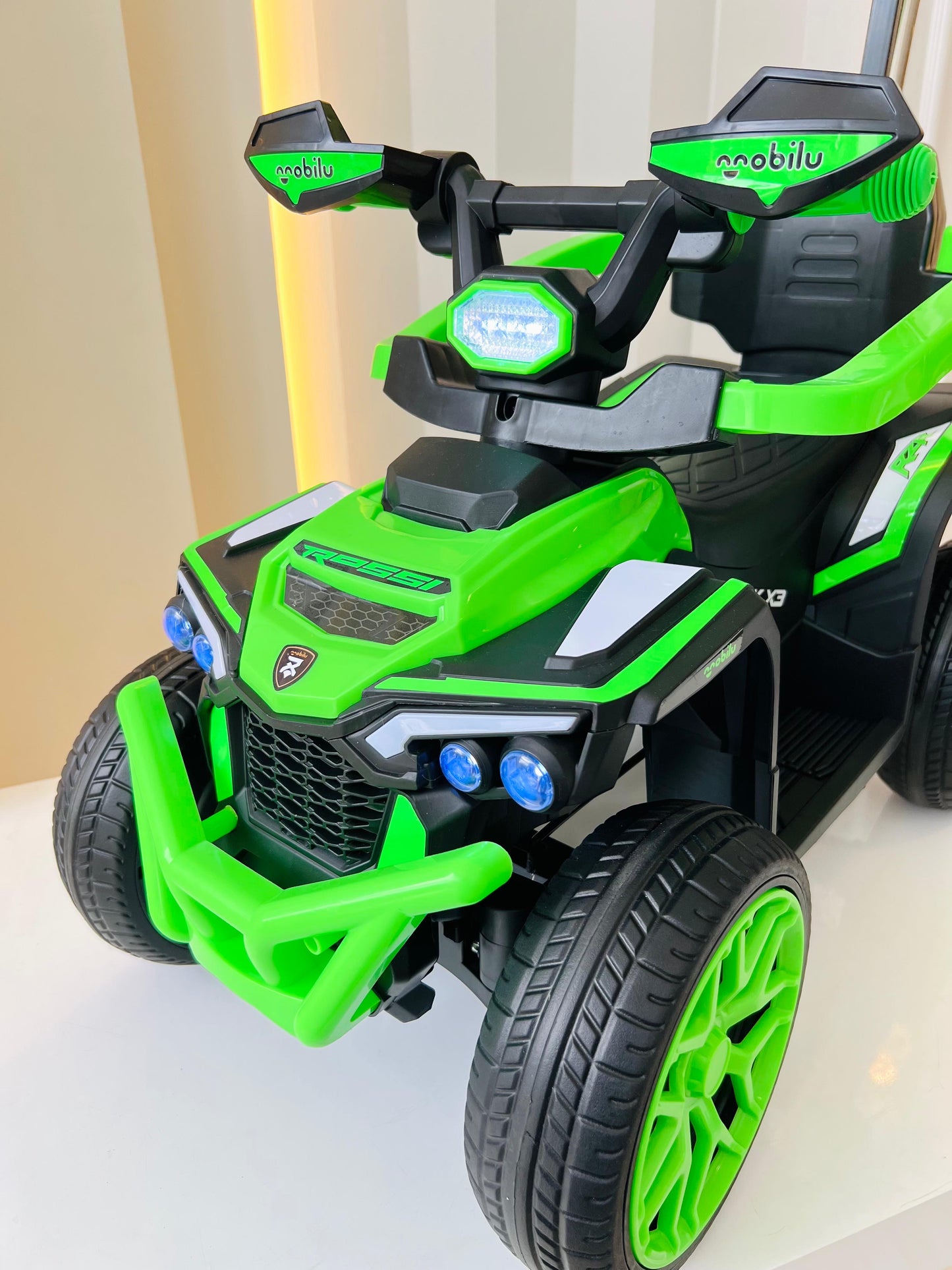 CUATRIMOTO ELÉCTRICA PASEADOR MAVERICK X3