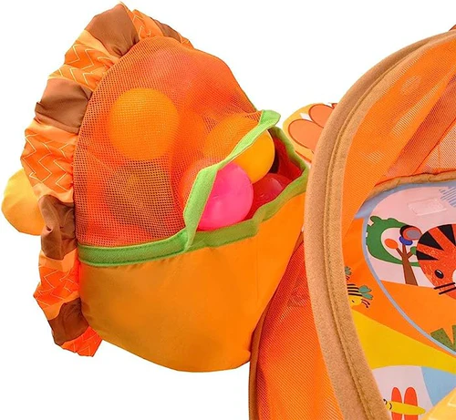GIMNASIO PELOTAS TORTUGA