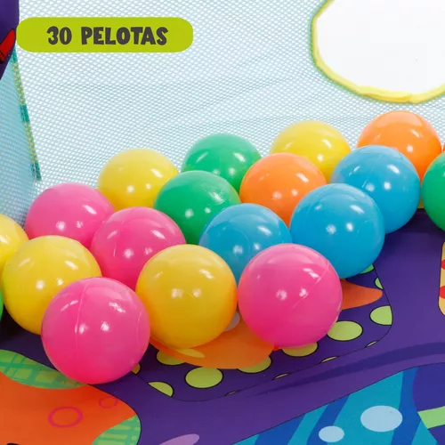 GIMNASIO PELOTAS TORTUGA