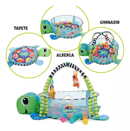 GIMNASIO PELOTAS TORTUGA