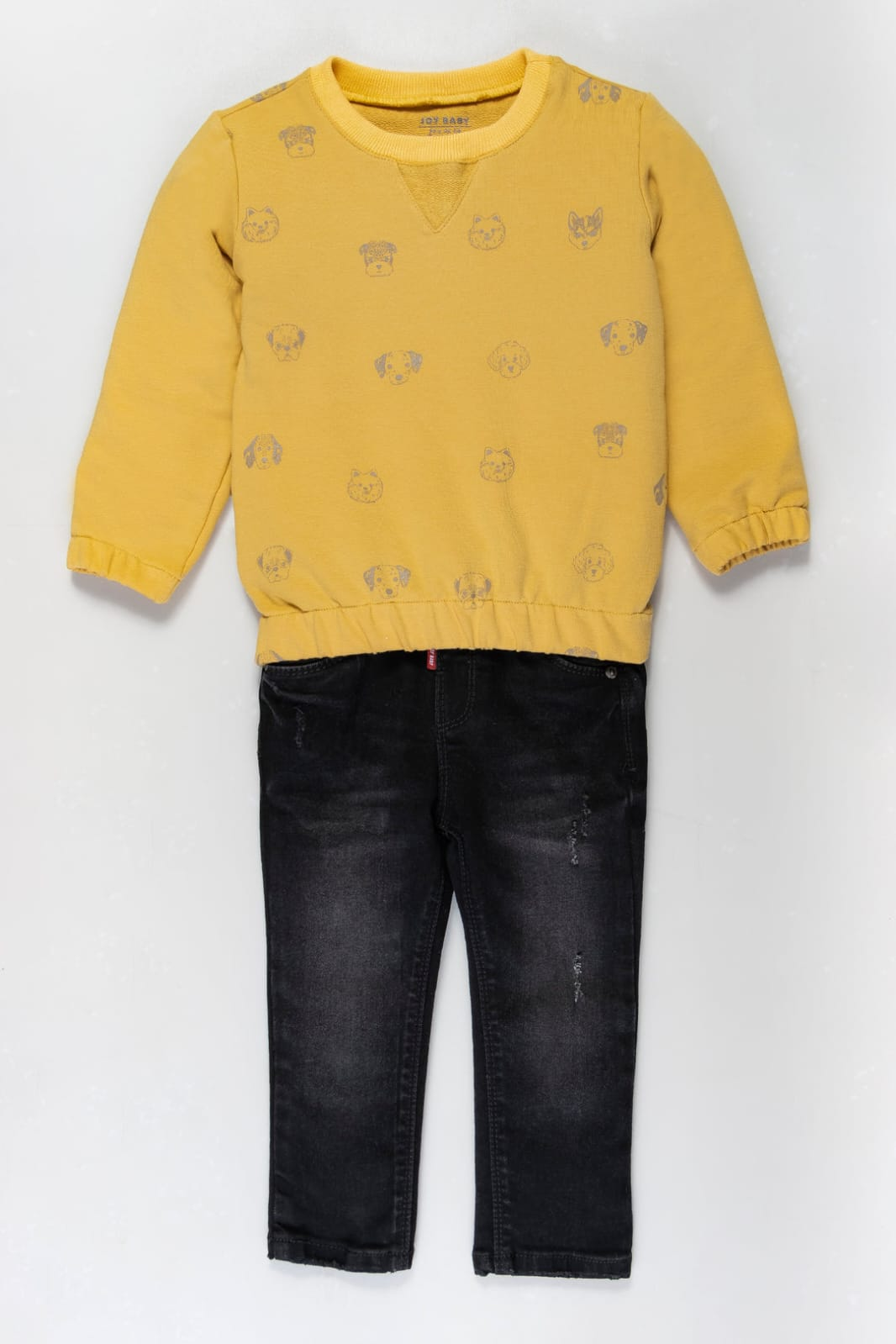 Conjunto Saco Animals