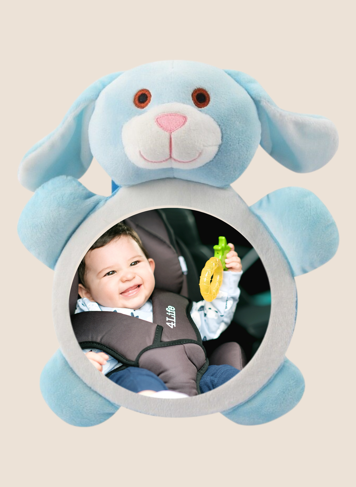 SEGURIDAD ESPEJO RETROVISOR