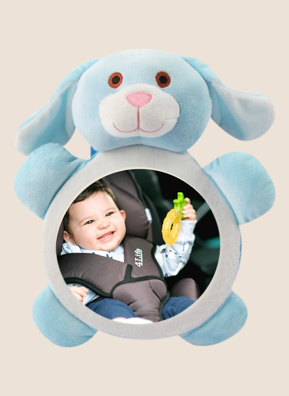 SEGURIDAD ESPEJO RETROVISOR