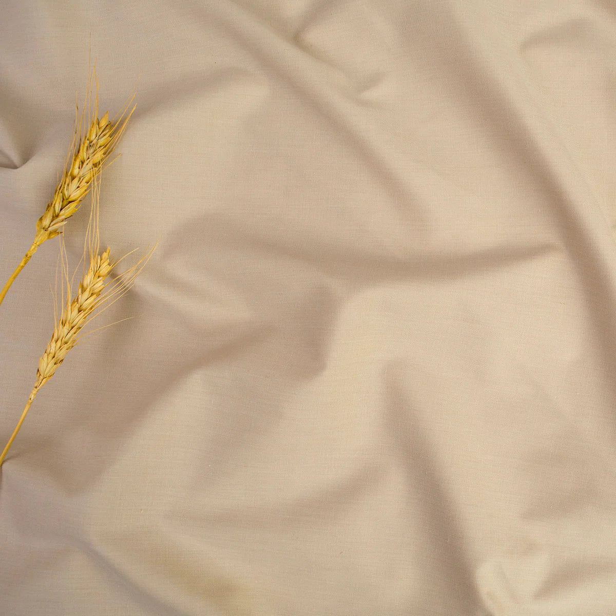 TELA PREMIUM BEIGE