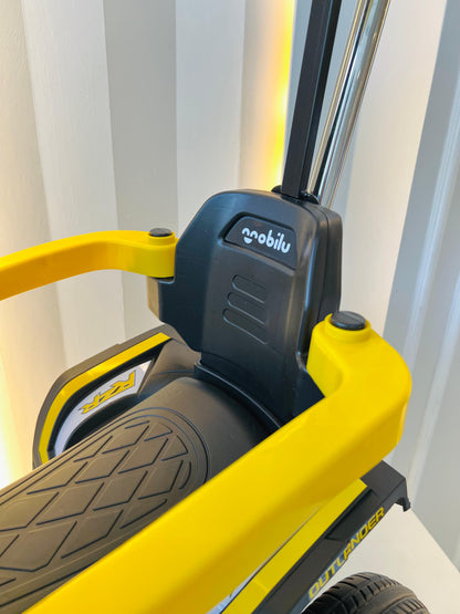 CUATRIMOTO ELÉCTRICA PASEADOR MAVERICK X3