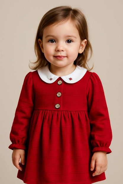 VESTIDO CLÁSICO MANGA LARGA CON CUELLO BORDADO