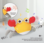 CANGREJO DIDÁCTICO SENSORIAL