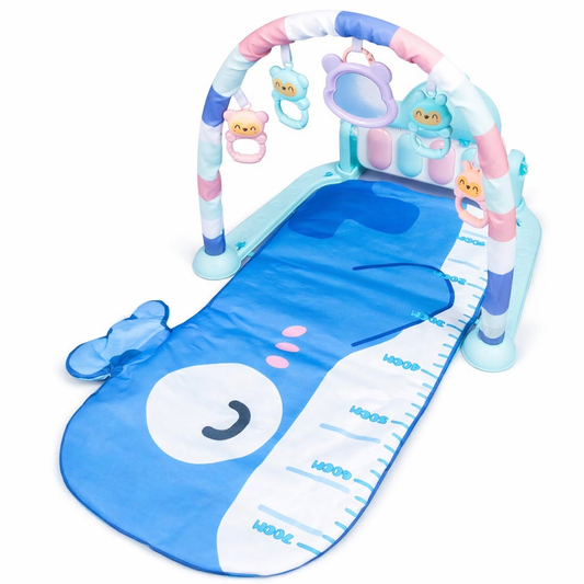 GIMNASIO MUSICAL INTERACTIVO - DISEÑO BALLENITA