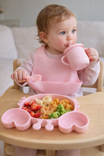 SET DE ALIMENTACIÓN COMPLEMENTARIA CANGREJO ROSA