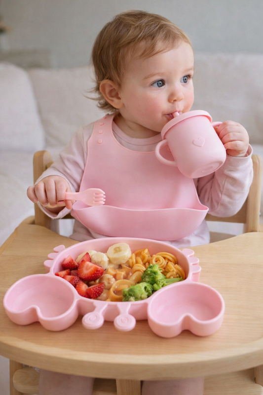 SET DE ALIMENTACIÓN COMPLEMENTARIA CANGREJO ROSA