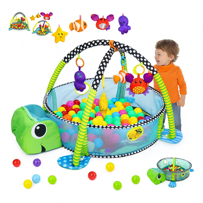 GIMNASIO PELOTAS TORTUGA