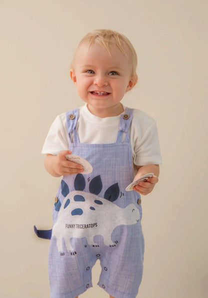Set Triceratops