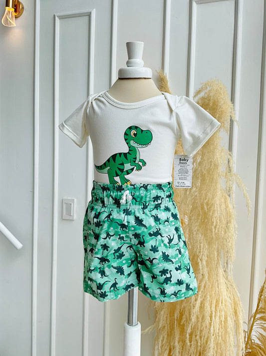 Conjunto dinosaurio