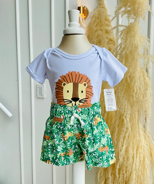 Conjunto leon