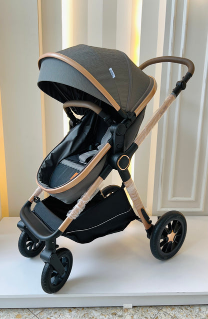 COCHE MOISÉS-NOVA GRIS