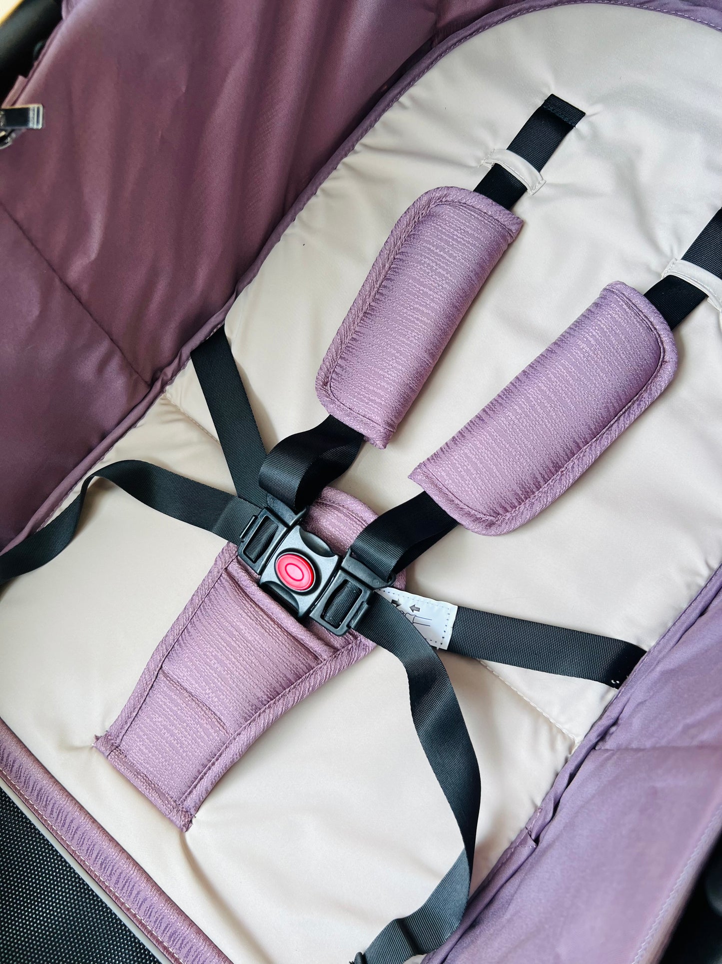 COCHE MOISÉS-NOVA MORADO