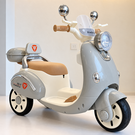 Moto Electrica Verona Gris