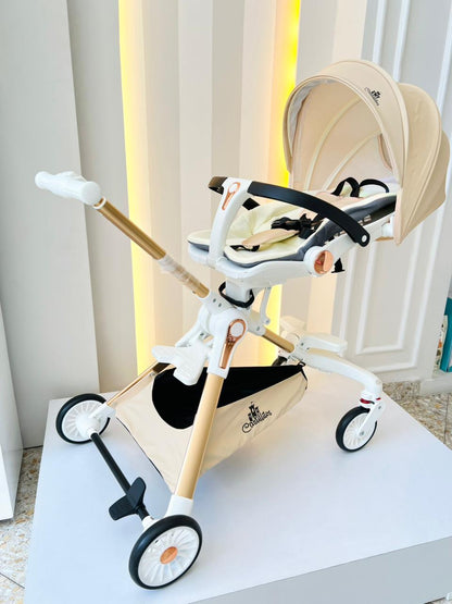 PASEADOR DE LUJO PLEGABLE