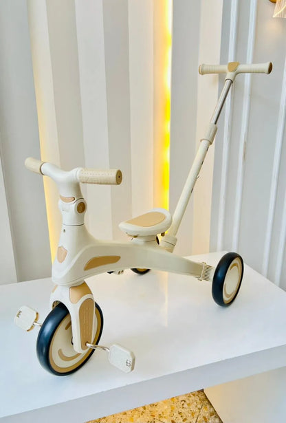 PASEADOR EVOLUTIVO 5 EN 1 PREMIUM - COLOR BEIGE