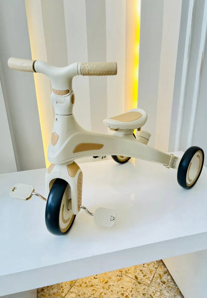 PASEADOR EVOLUTIVO 5 EN 1 PREMIUM - COLOR BEIGE