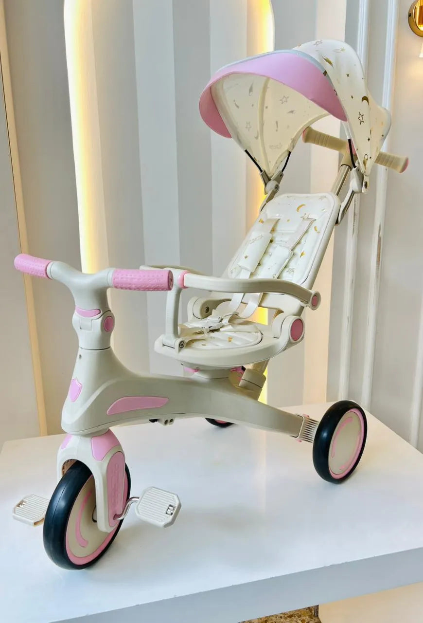 PASEADOR EVOLUTIVO 5 EN 1 PREMIUM - COLOR ROSA
