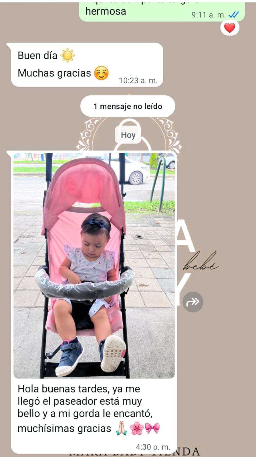 Imagen 3