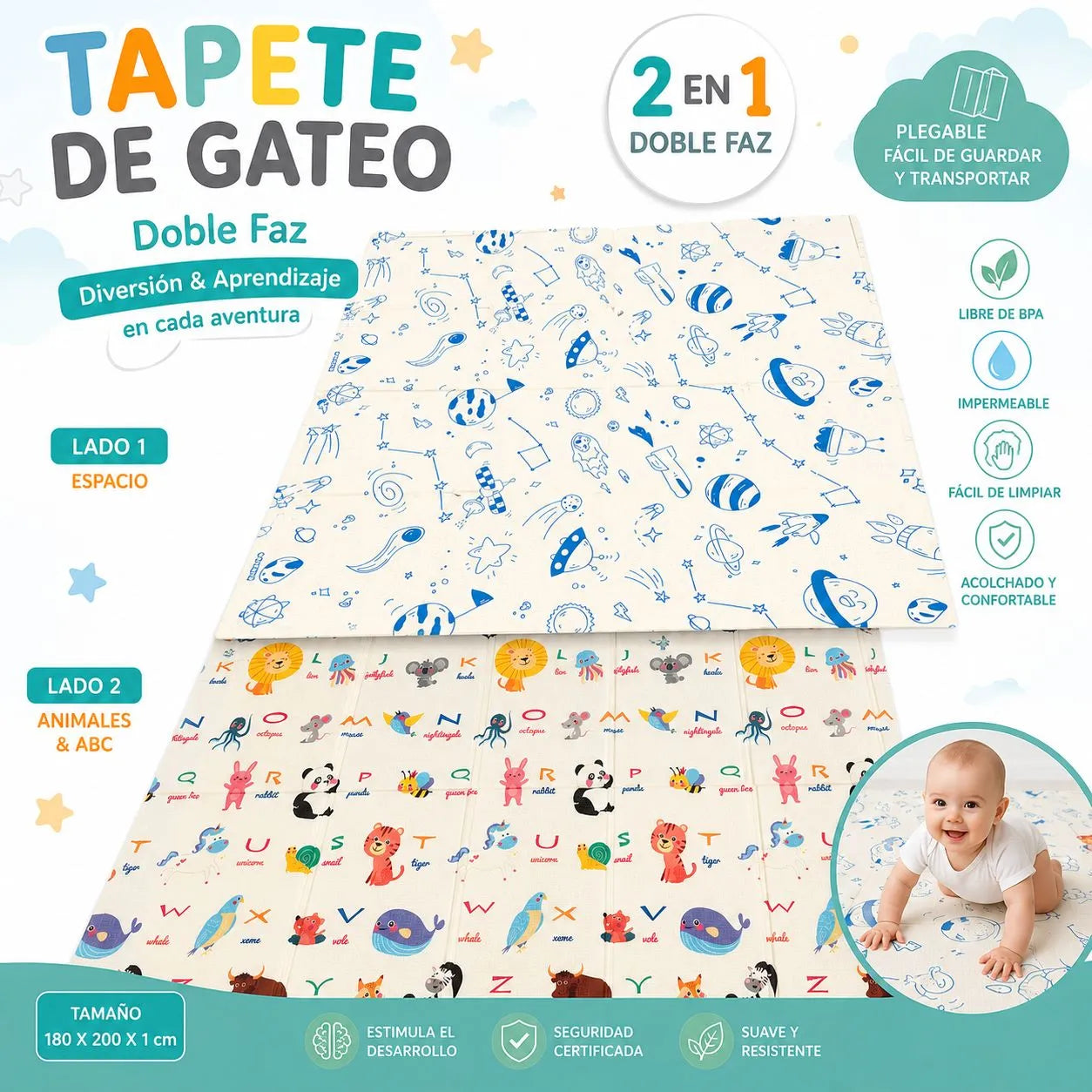 TAPETE DE GATEO DOBLE FAZ - DISEÑO ESPACIAL