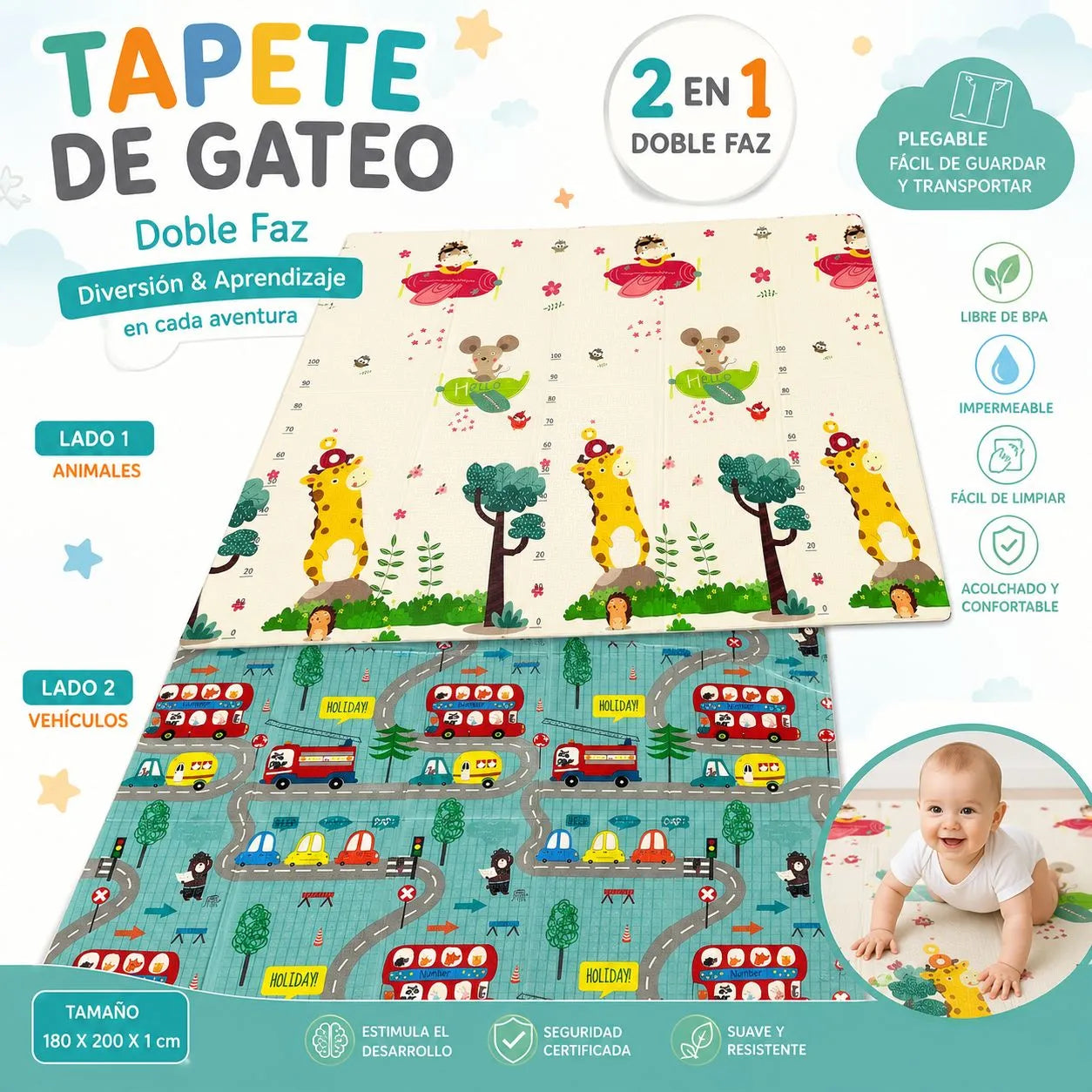 TAPETE DE GATEO DOBLE FAZ - DISEÑO CIUDAD INTERRACTIVA