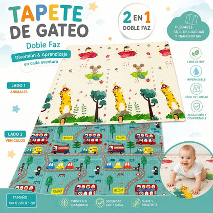 TAPETE DE GATEO DOBLE FAZ - DISEÑO CIUDAD INTERRACTIVA