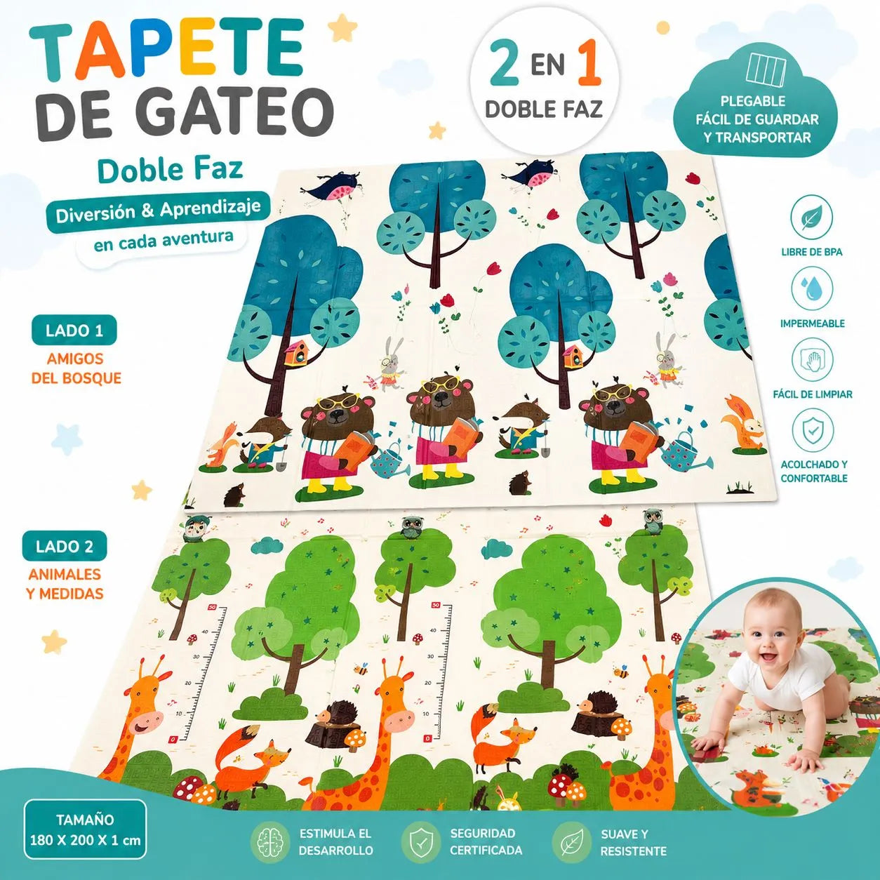 TAPETE DE GATEO DOBLE FAZ - DISEÑO CIUDAD INTERRACTIVA
