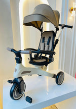 PASEADOR EVOLUTIVO 5 EN 1 PREMIUM - COLOR CAFE