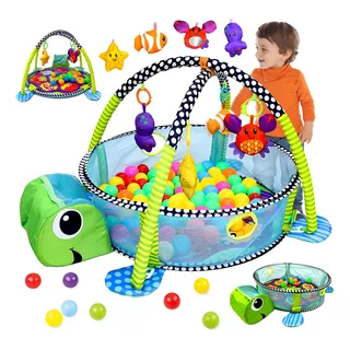 GIMNASIO PELOTAS TORTUGA