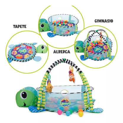 GIMNASIO PELOTAS TORTUGA