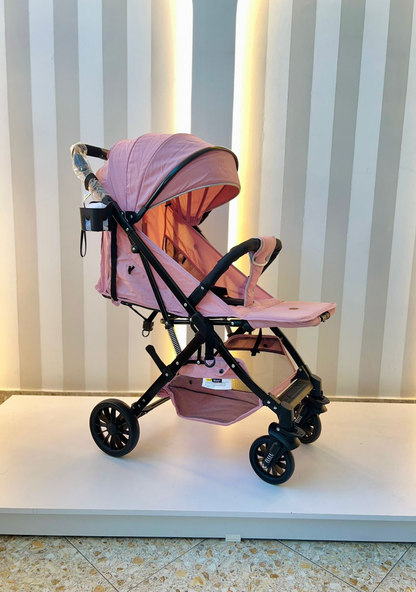 Coche Paseador Balú Ebaby
