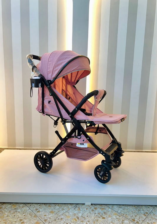 Coche Paseador Balú Ebaby